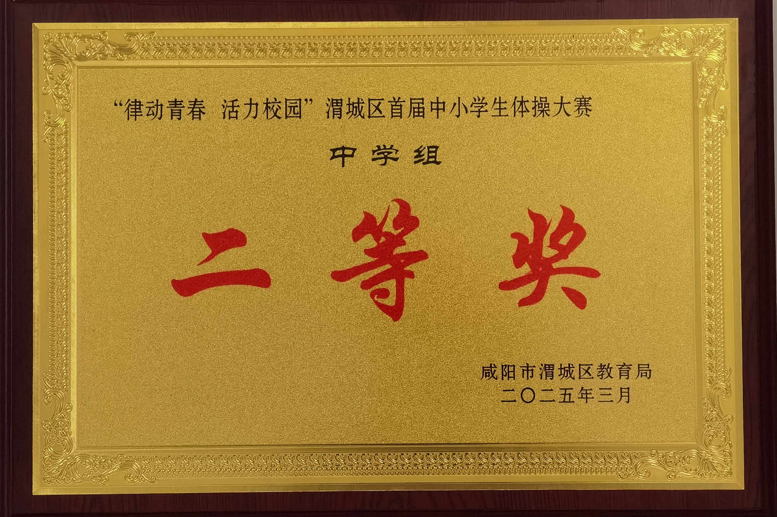 青春韵舞 绽放风采 ——咸阳渭城中学在渭城区中小学生体操大赛中斩获佳绩